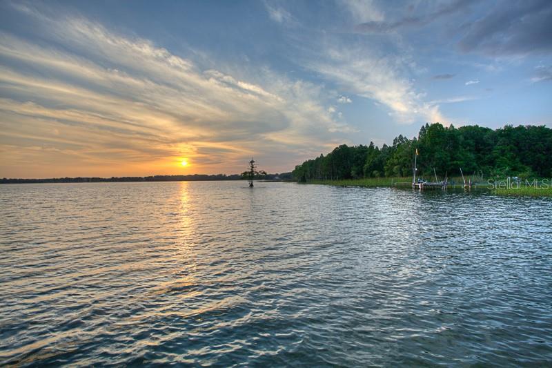 LOT 30 STONELAKE RANCH BLVD, THONOTOSASSA, FL, 33592