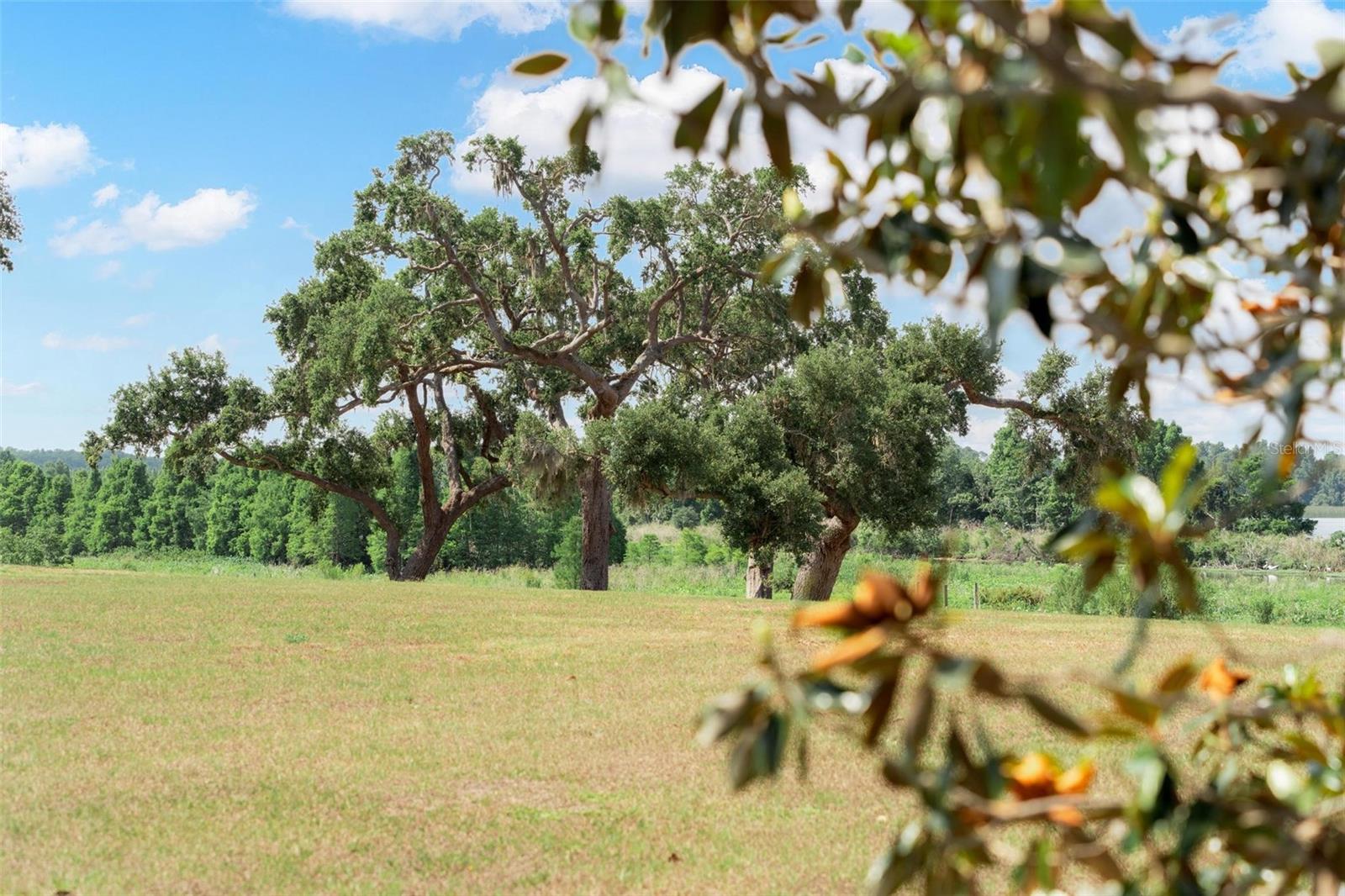 LOT 30 STONELAKE RANCH BLVD, THONOTOSASSA, FL, 33592