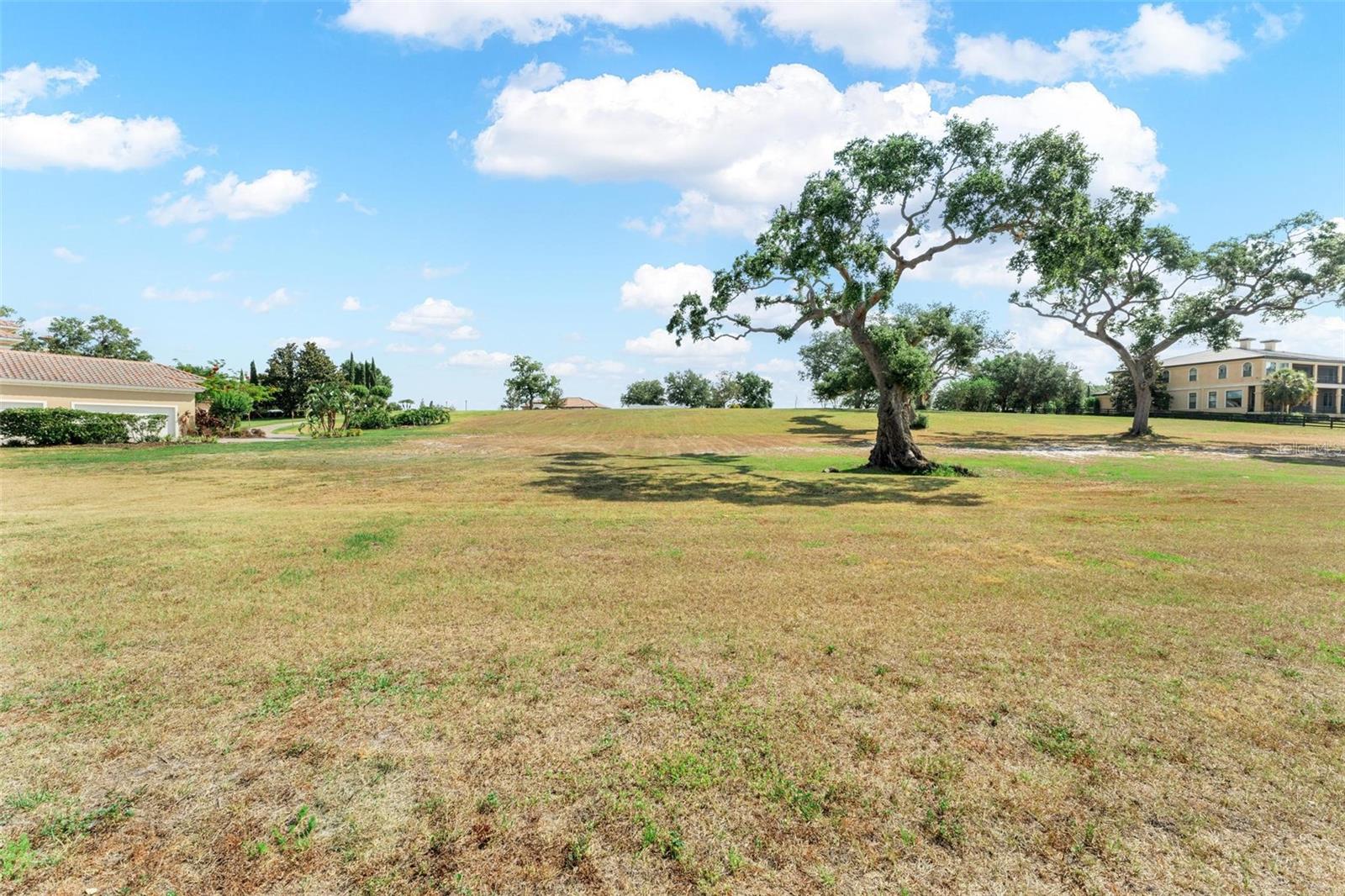LOT 30 STONELAKE RANCH BLVD, THONOTOSASSA, FL, 33592