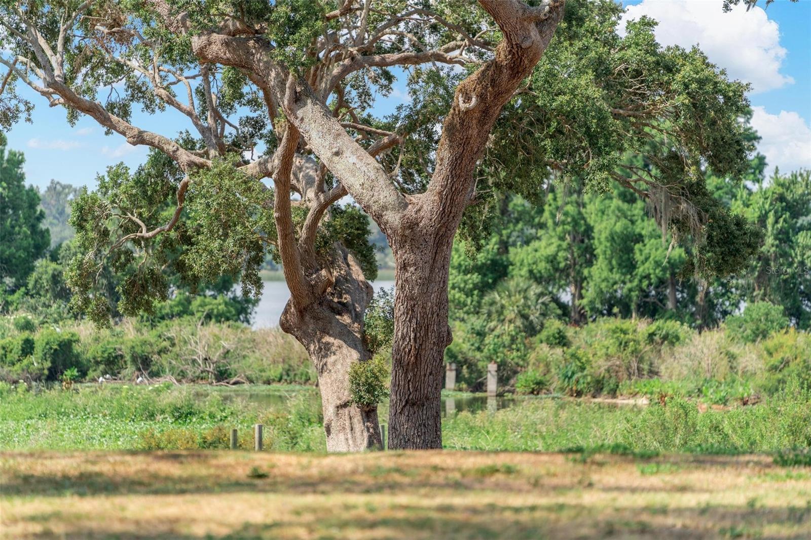 LOT 30 STONELAKE RANCH BLVD, THONOTOSASSA, FL, 33592