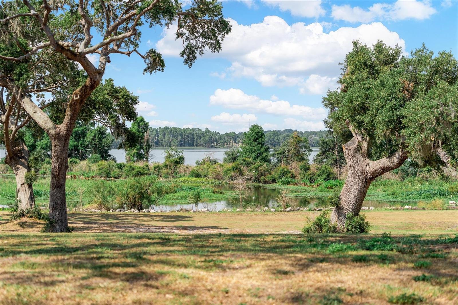 LOT 30 STONELAKE RANCH BLVD, THONOTOSASSA, FL, 33592