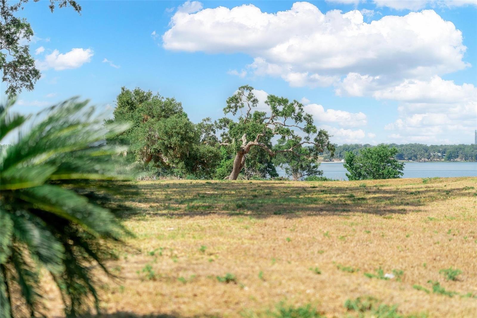 LOT 30 STONELAKE RANCH BLVD, THONOTOSASSA, FL, 33592