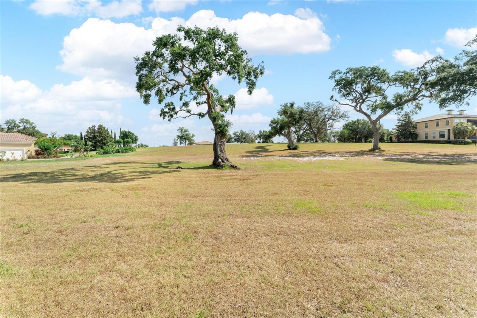 LOT 30 STONELAKE RANCH BLVD, THONOTOSASSA, FL, 33592