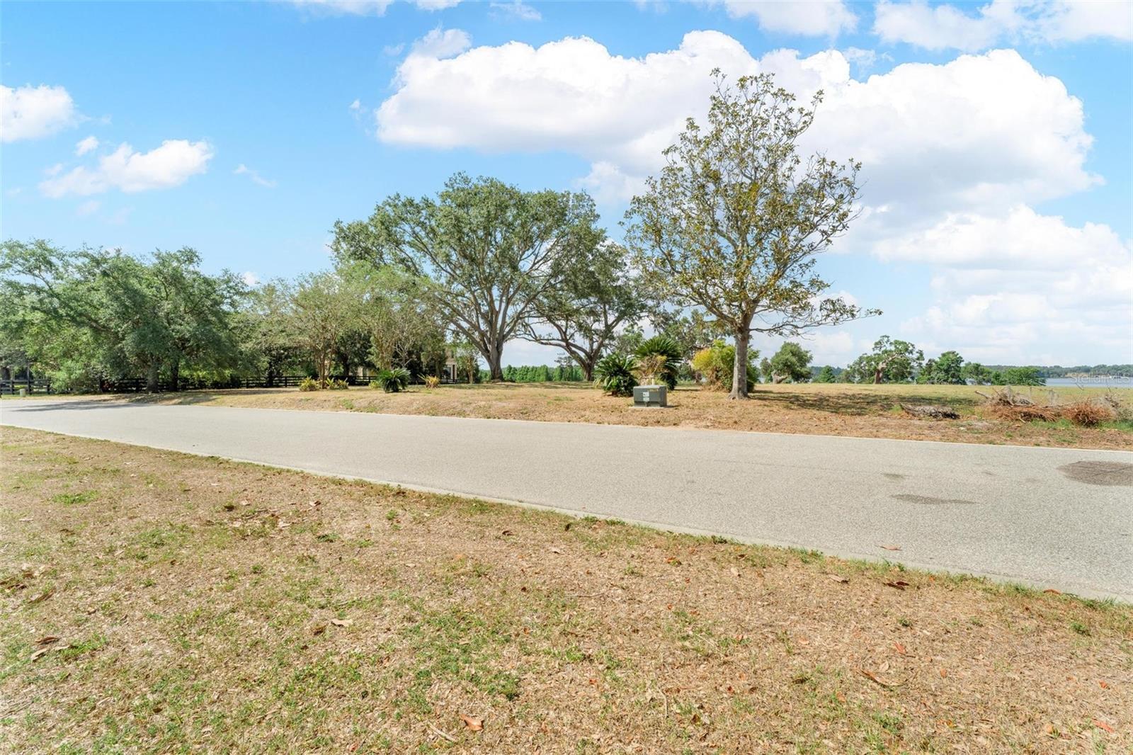 LOT 30 STONELAKE RANCH BLVD, THONOTOSASSA, FL, 33592