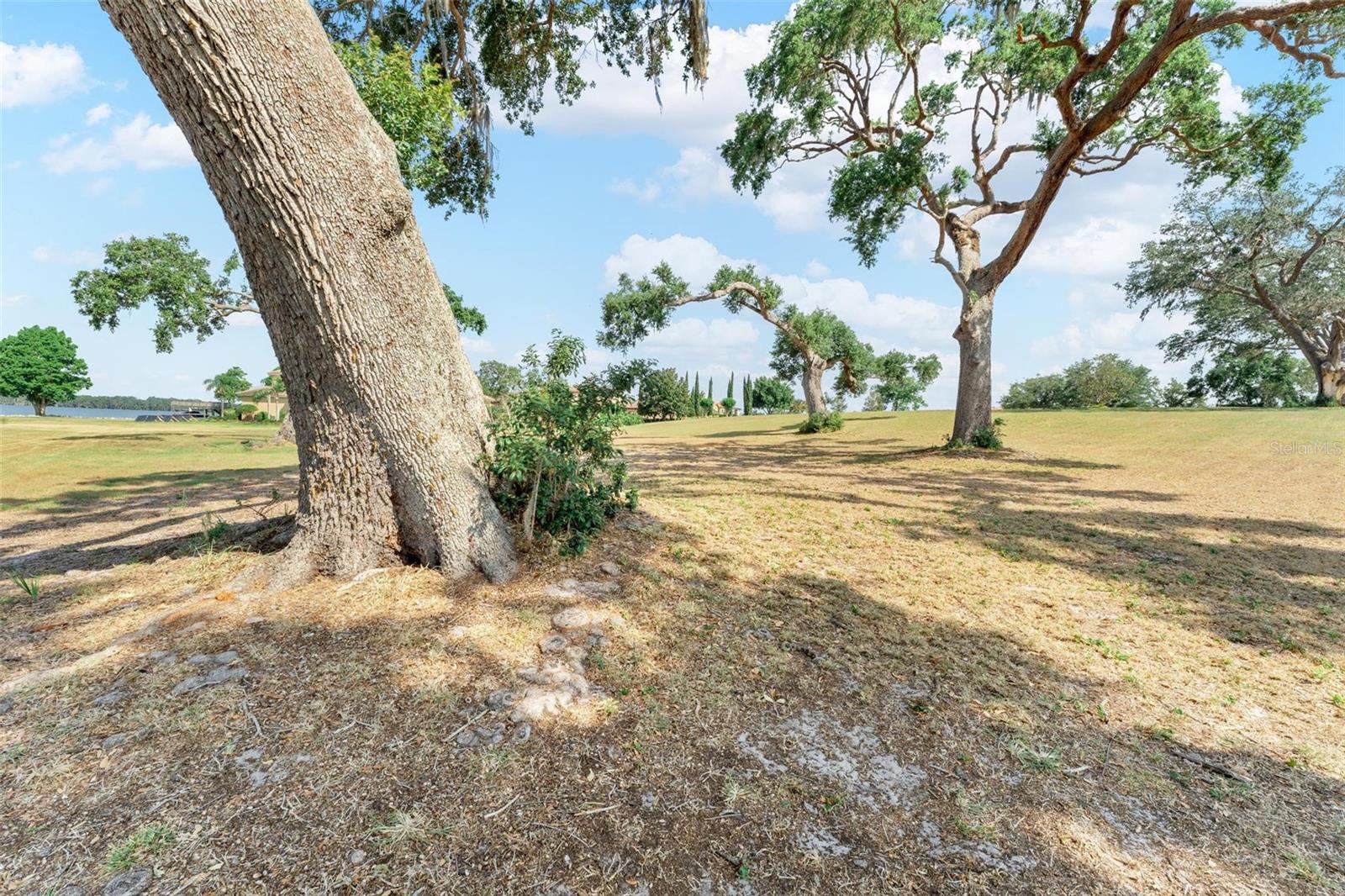 LOT 30 STONELAKE RANCH BLVD, THONOTOSASSA, FL, 33592