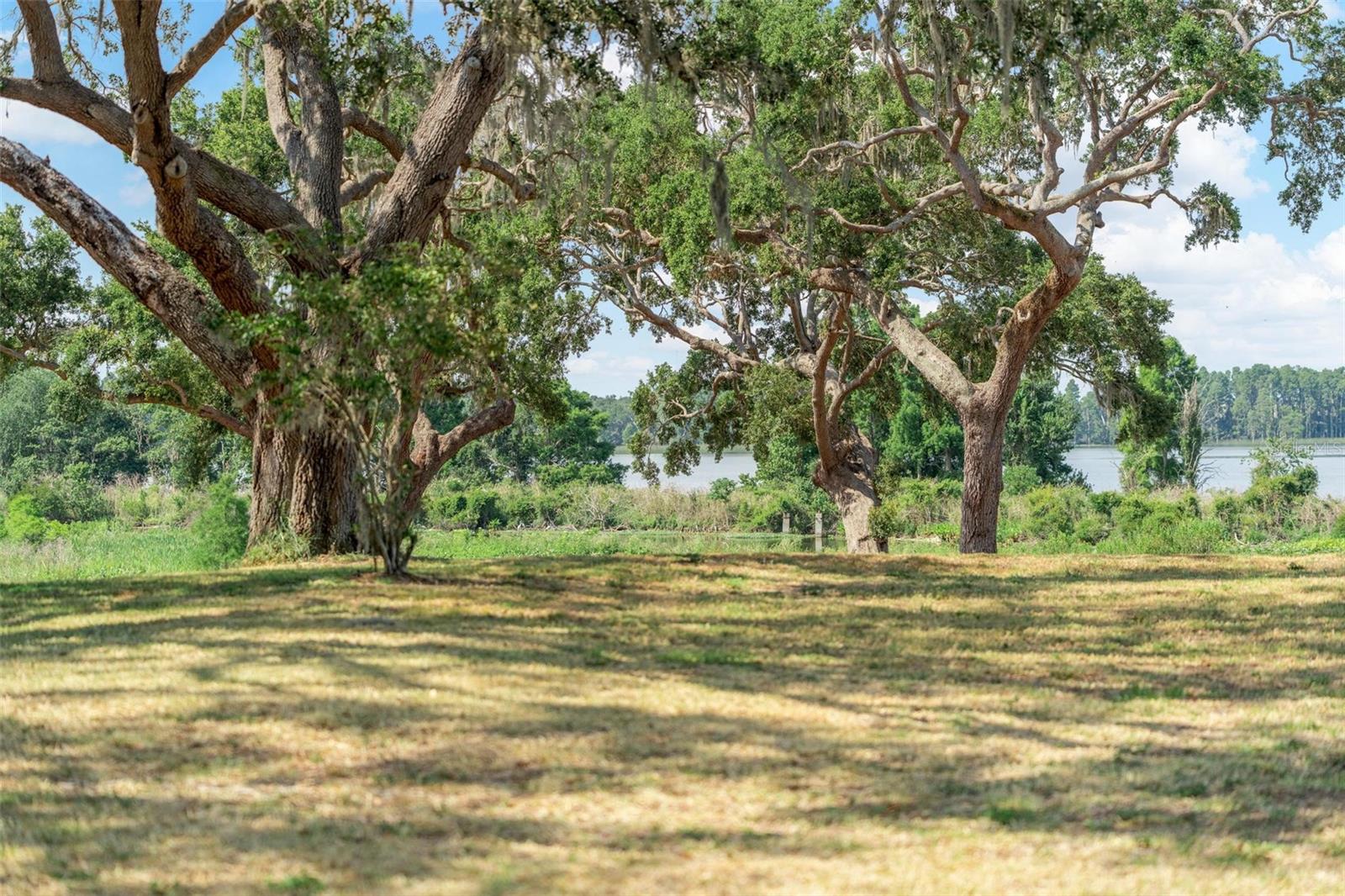 LOT 30 STONELAKE RANCH BLVD, THONOTOSASSA, FL, 33592