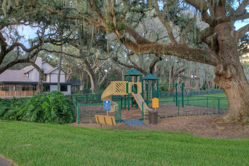 LOT 30 STONELAKE RANCH BLVD, THONOTOSASSA, FL, 33592