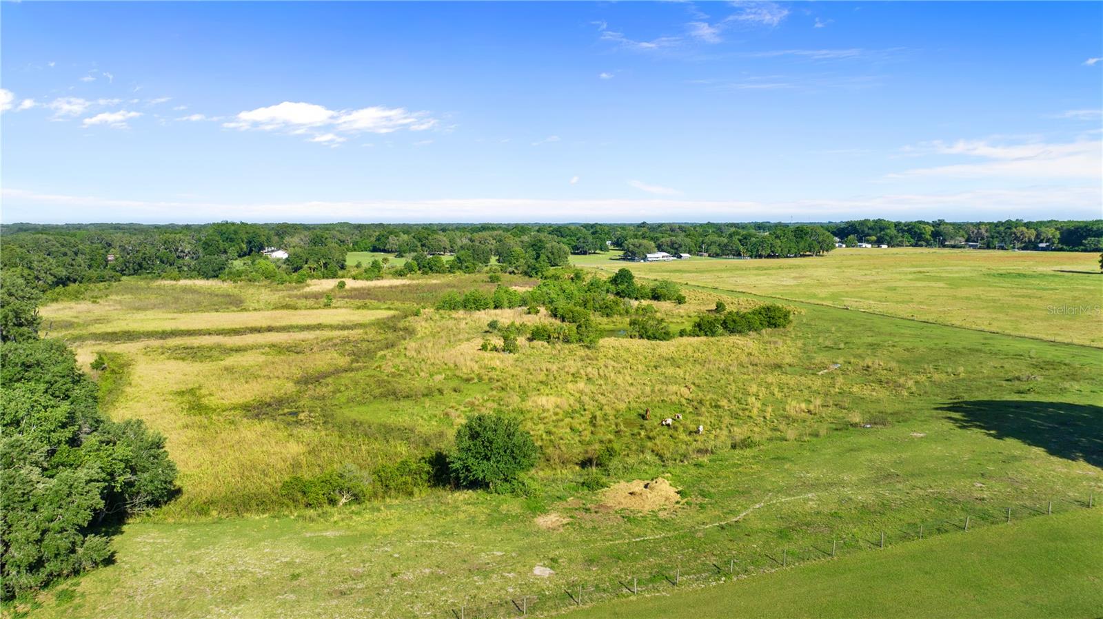 LOT 30 STONELAKE RANCH BLVD, THONOTOSASSA, FL, 33592