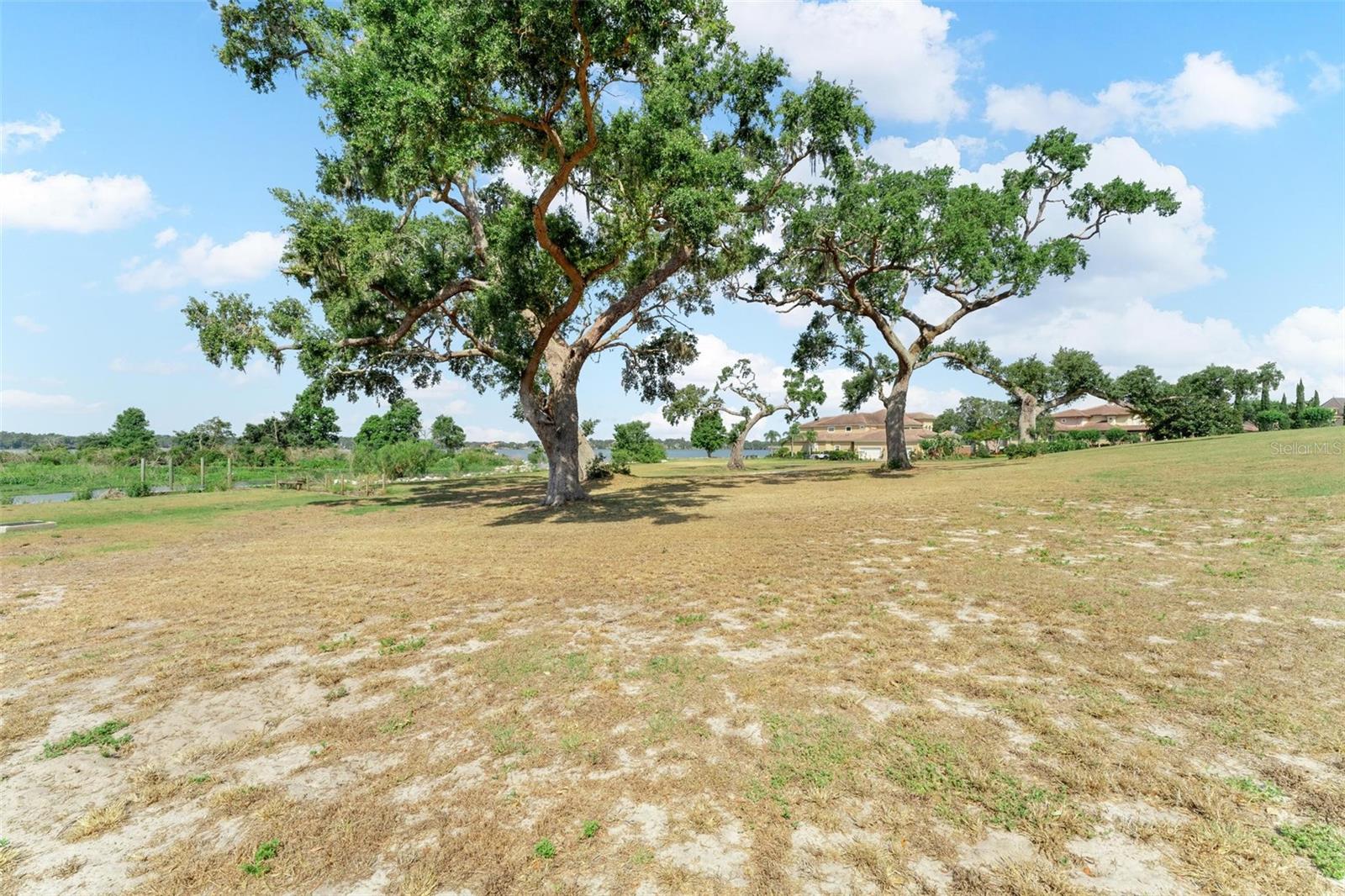 LOT 30 STONELAKE RANCH BLVD, THONOTOSASSA, FL, 33592