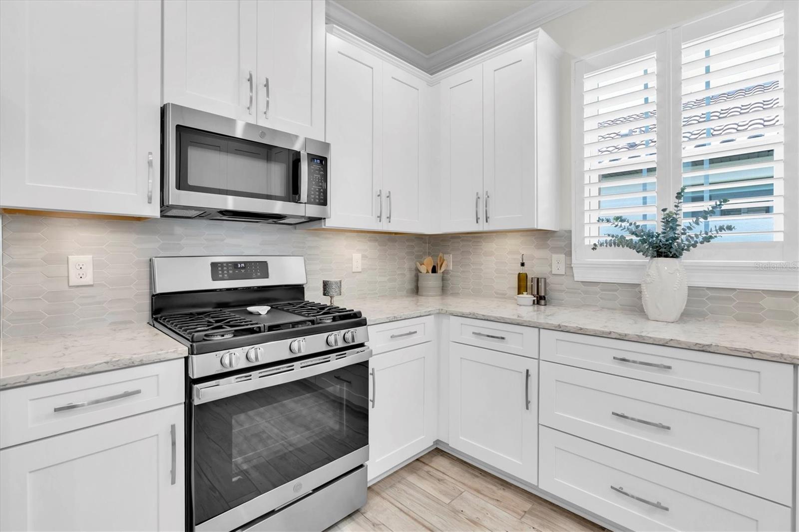 3166 FRANCOA DR, ODESSA, FL, 33556