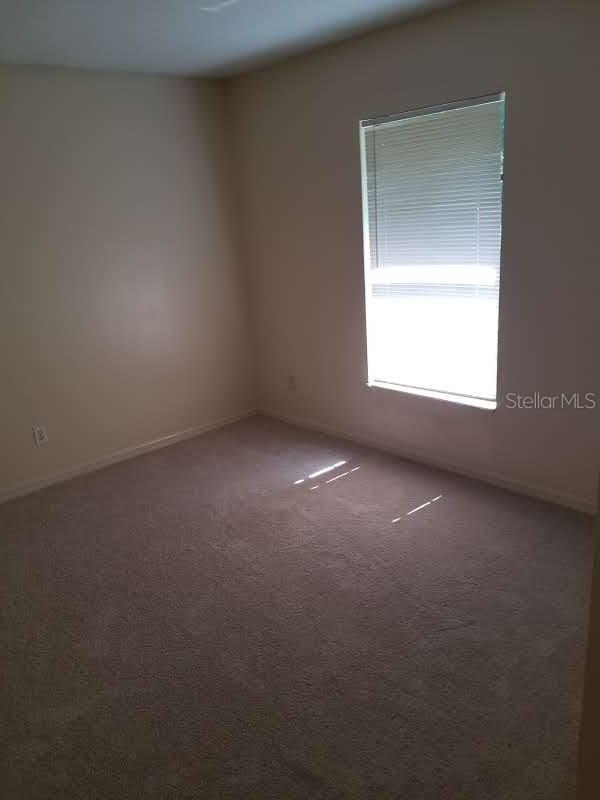 4313 N 35TH ST, TAMPA, FL, 33610