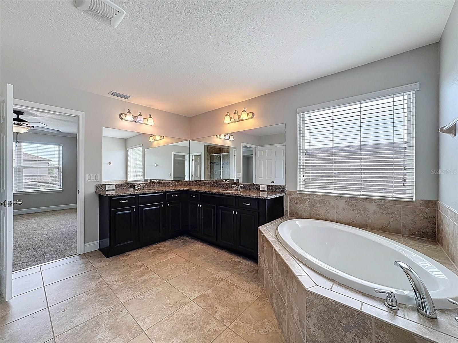 1606 FEATHER GRASS LOOP, LUTZ, FL, 33558