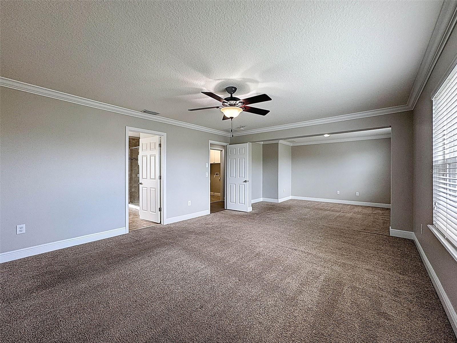 1606 FEATHER GRASS LOOP, LUTZ, FL, 33558