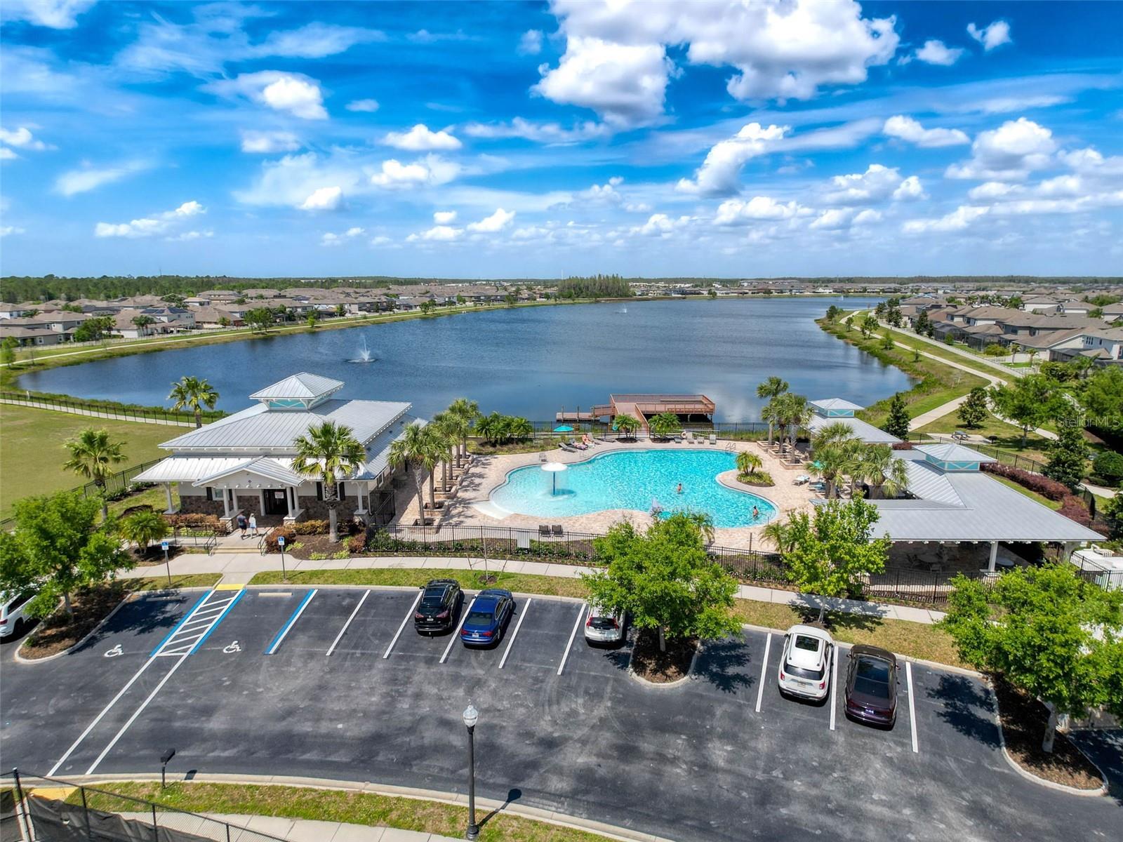 1606 FEATHER GRASS LOOP, LUTZ, FL, 33558