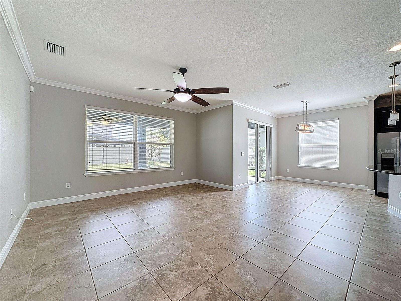 1606 FEATHER GRASS LOOP, LUTZ, FL, 33558