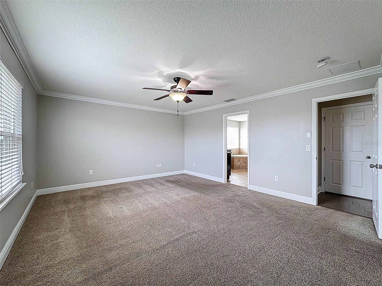 1606 FEATHER GRASS LOOP, LUTZ, FL, 33558