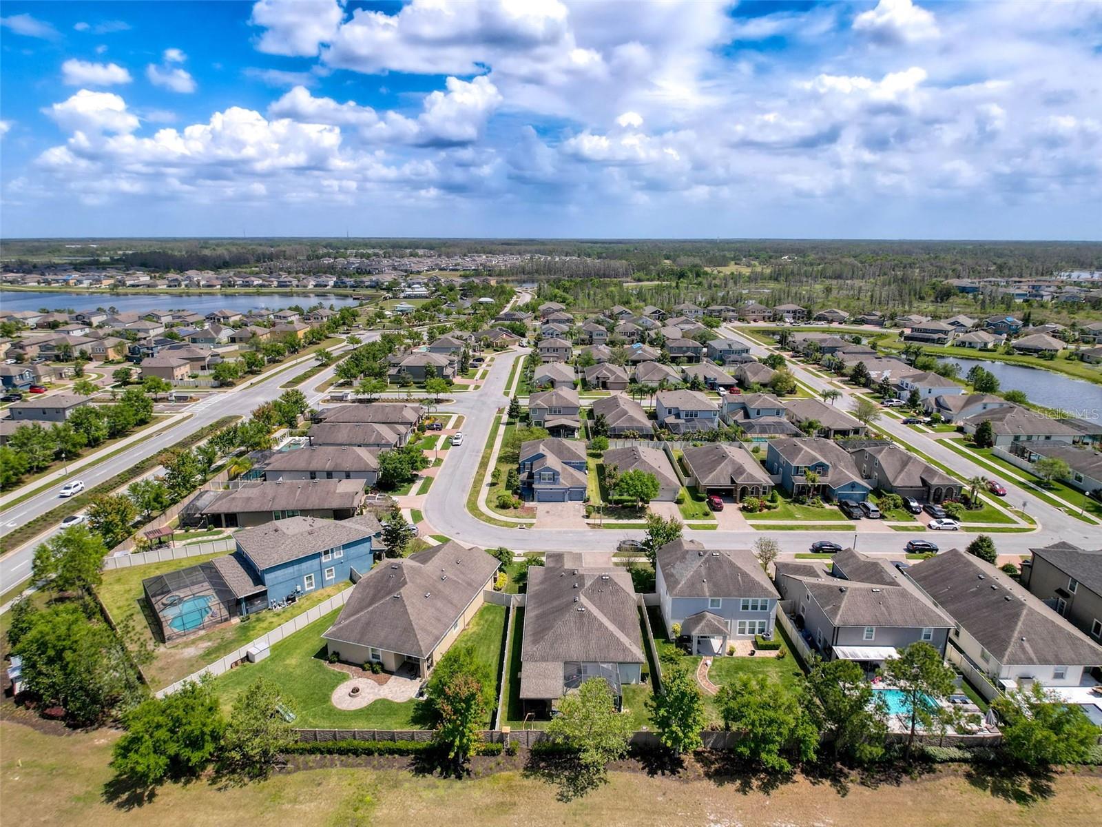 1606 FEATHER GRASS LOOP, LUTZ, FL, 33558