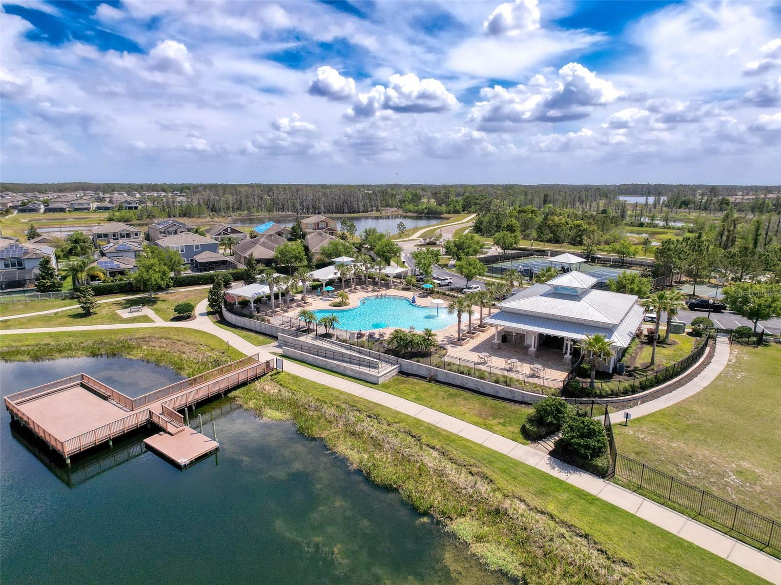 1606 FEATHER GRASS LOOP, LUTZ, FL, 33558