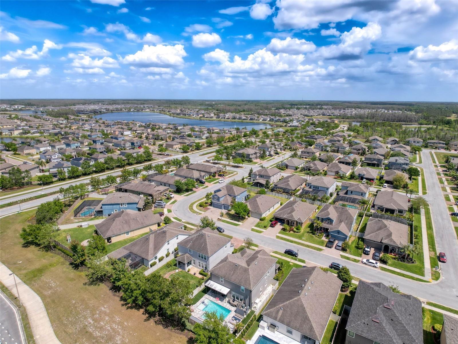 1606 FEATHER GRASS LOOP, LUTZ, FL, 33558