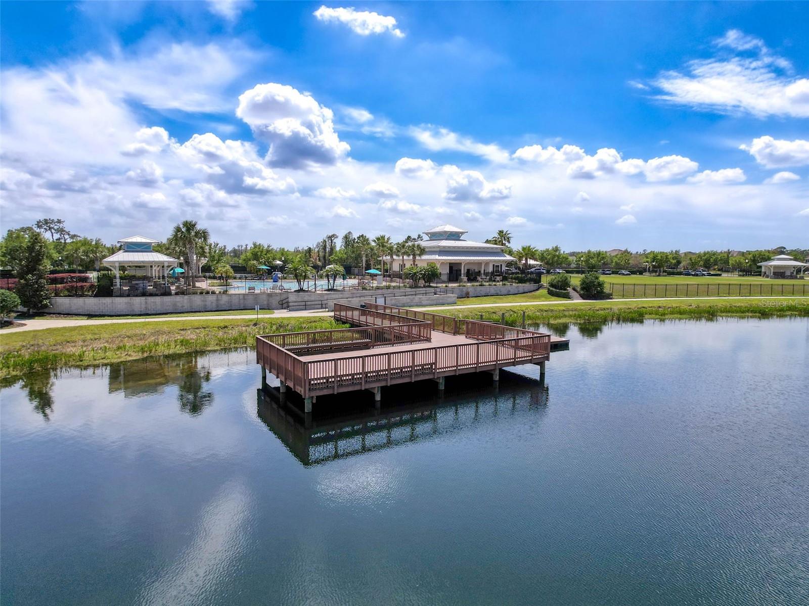 1606 FEATHER GRASS LOOP, LUTZ, FL, 33558