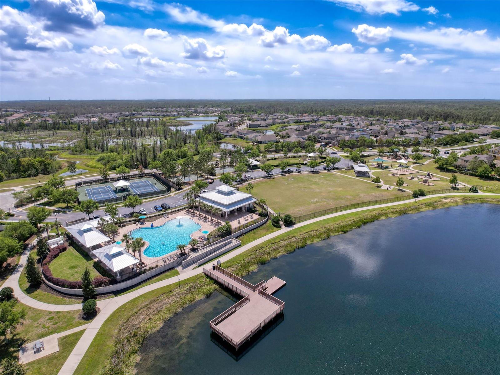 1606 FEATHER GRASS LOOP, LUTZ, FL, 33558