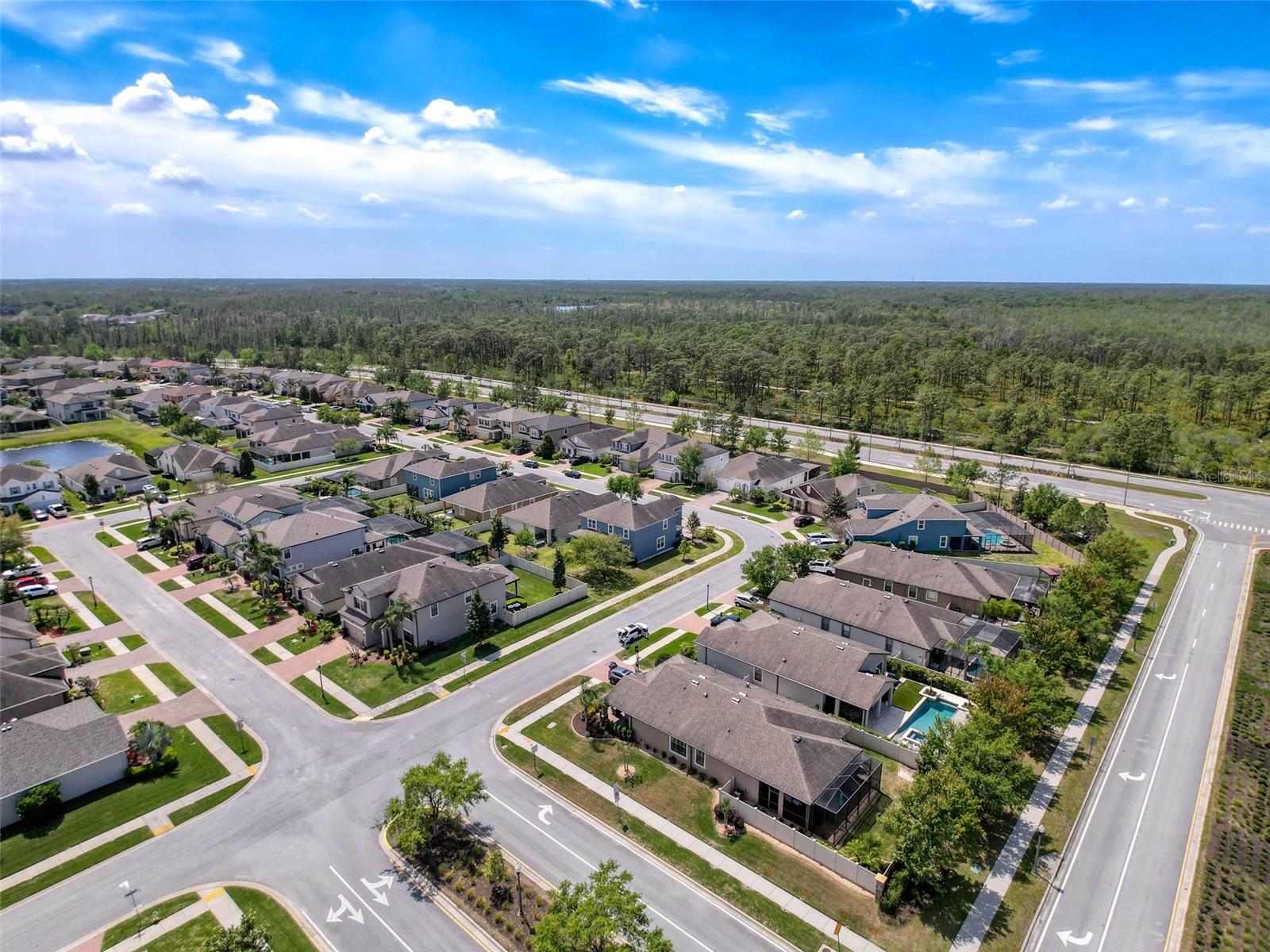 1606 FEATHER GRASS LOOP, LUTZ, FL, 33558