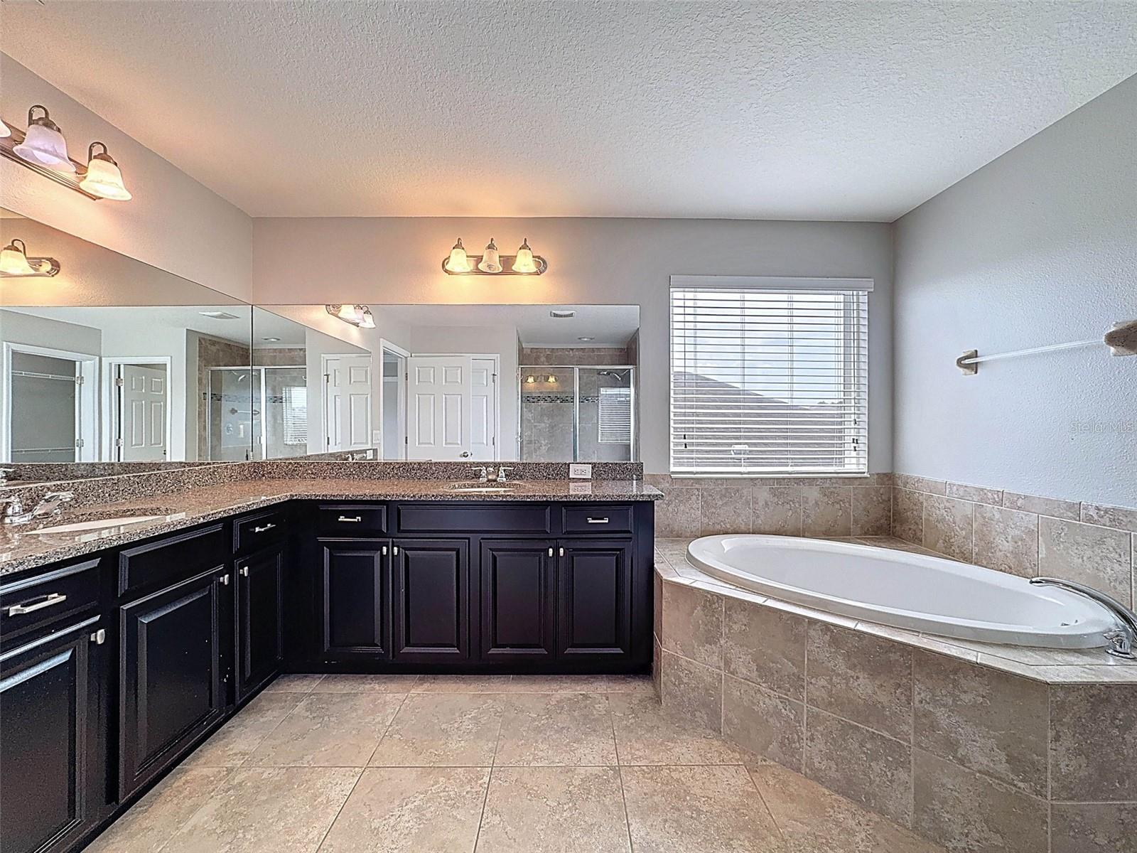 1606 FEATHER GRASS LOOP, LUTZ, FL, 33558