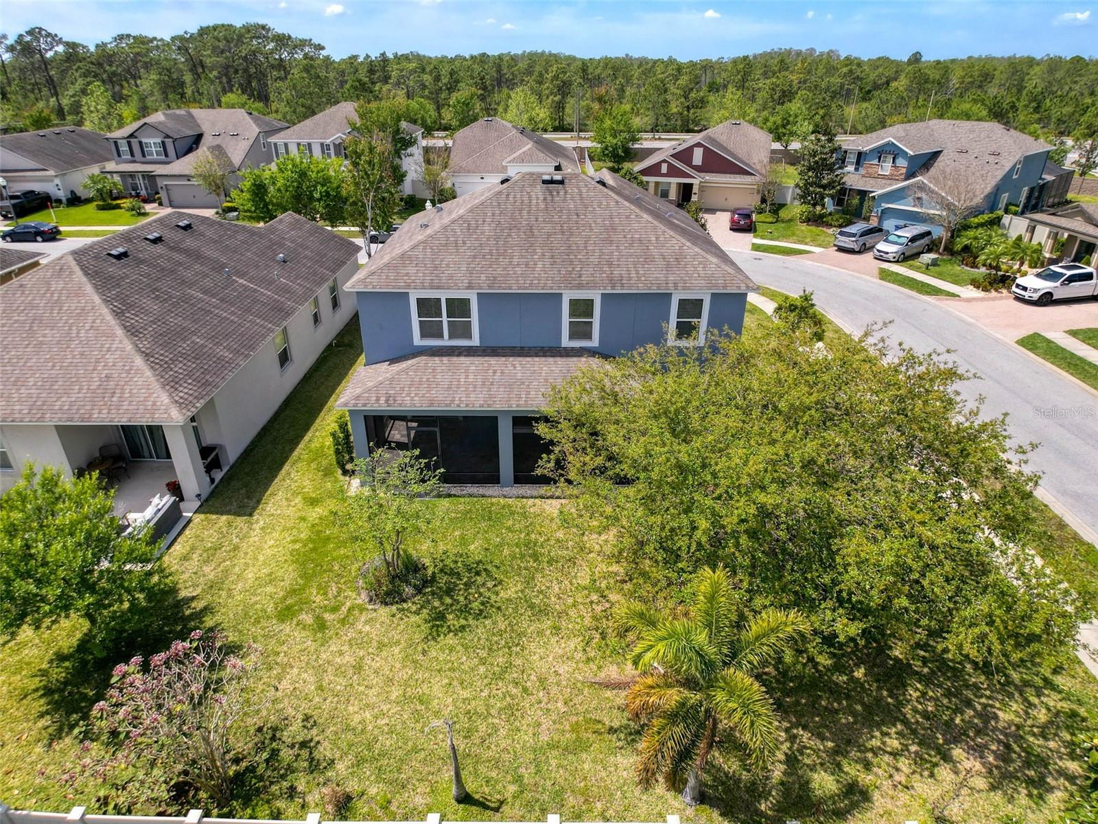 1606 FEATHER GRASS LOOP, LUTZ, FL, 33558