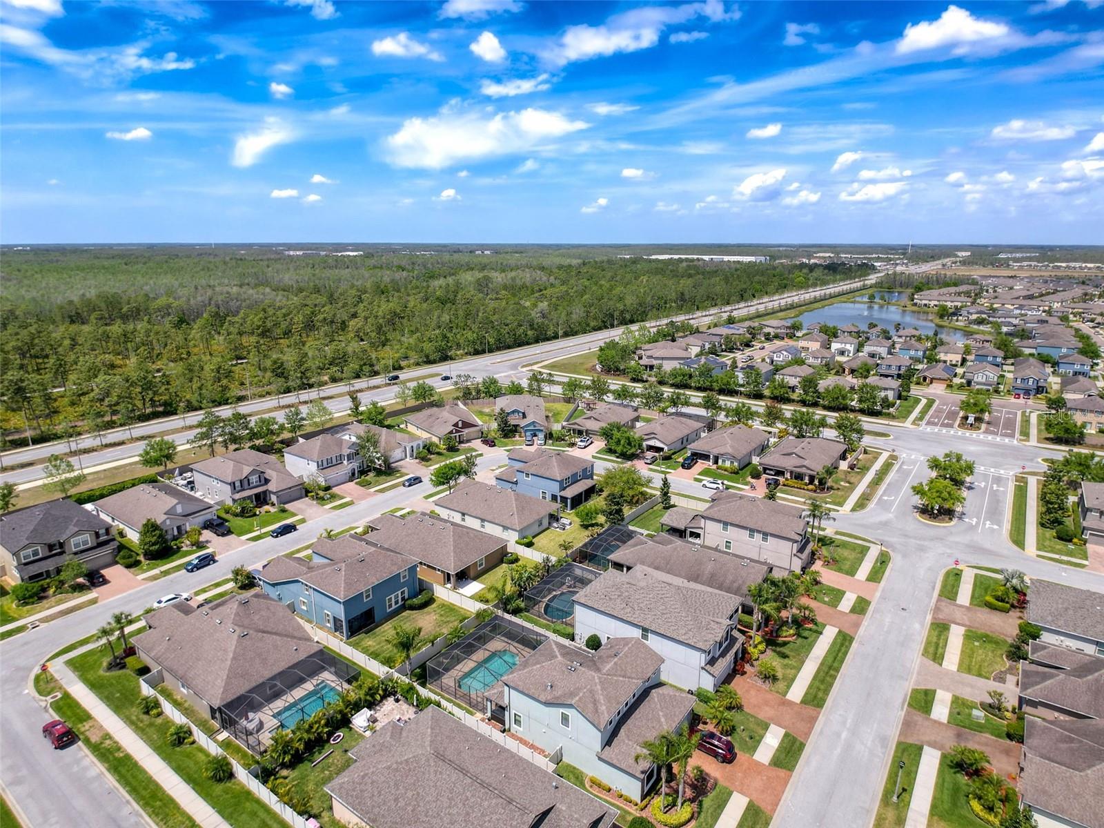 1606 FEATHER GRASS LOOP, LUTZ, FL, 33558