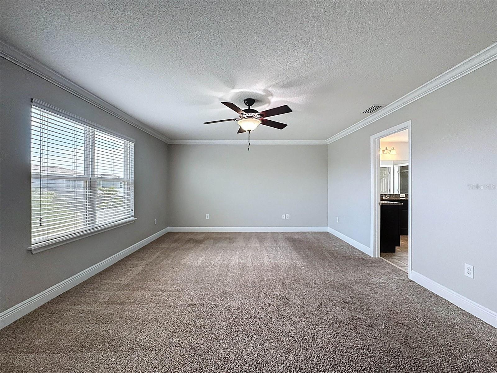 1606 FEATHER GRASS LOOP, LUTZ, FL, 33558