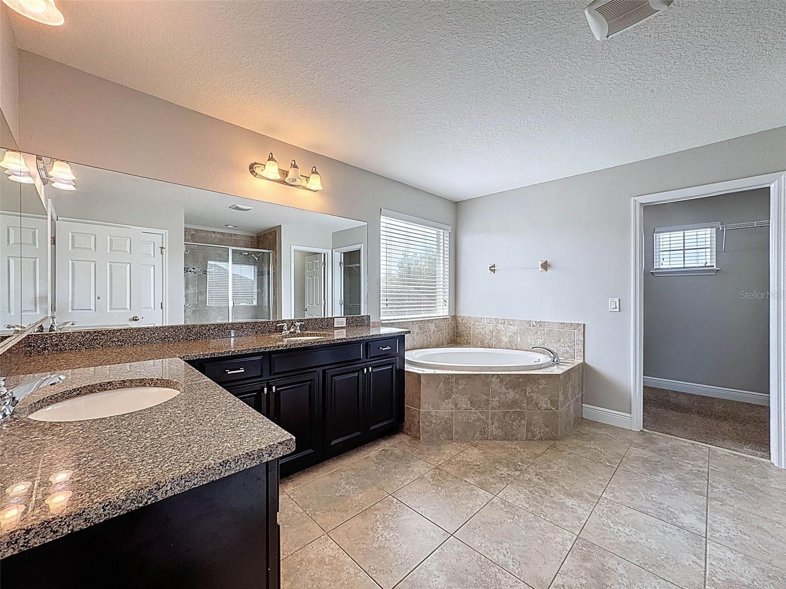 1606 FEATHER GRASS LOOP, LUTZ, FL, 33558