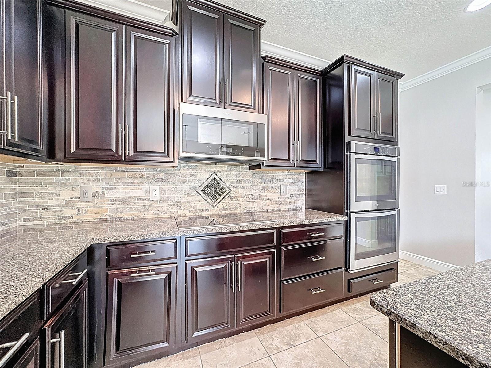 1606 FEATHER GRASS LOOP, LUTZ, FL, 33558