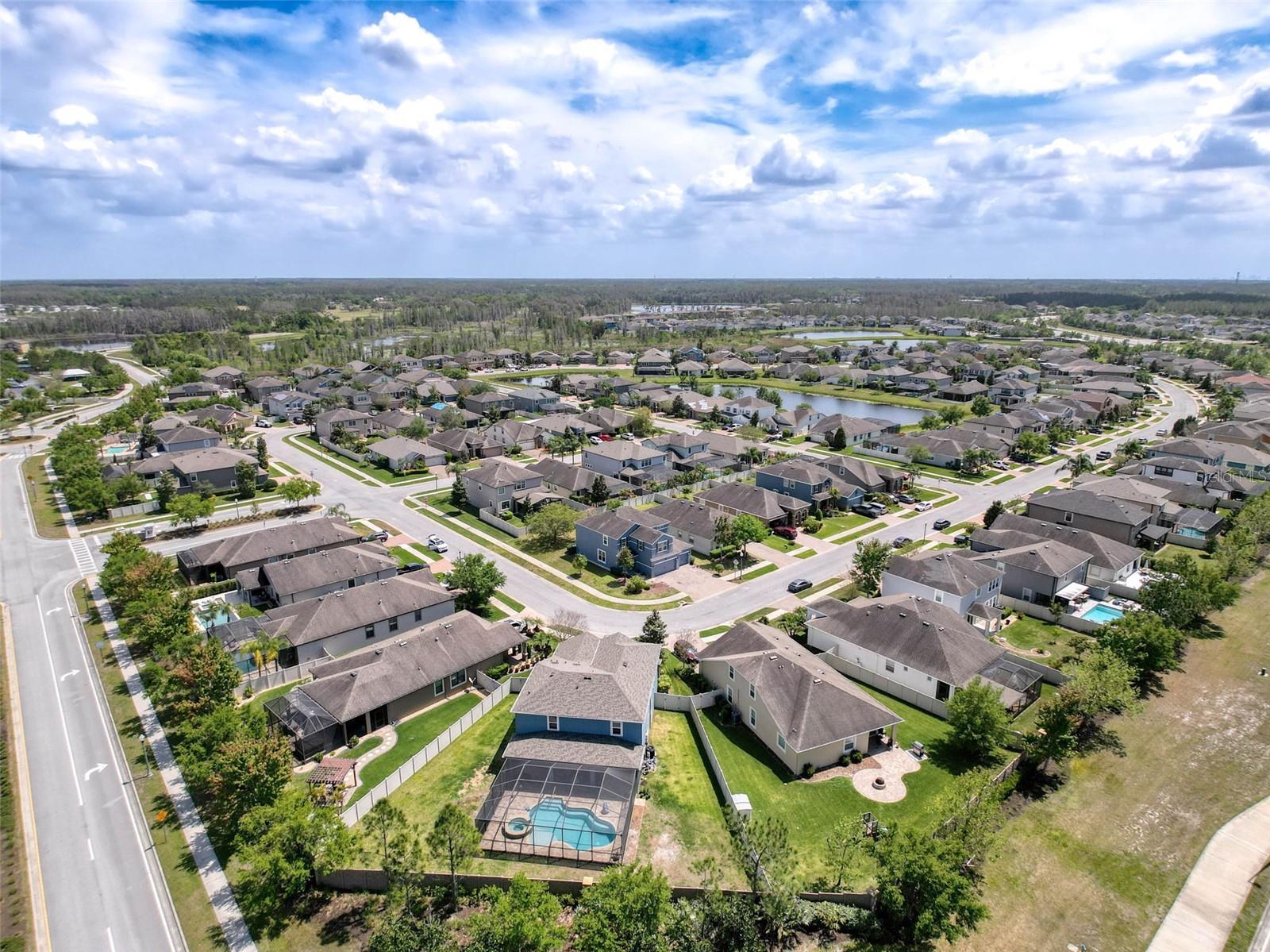 1606 FEATHER GRASS LOOP, LUTZ, FL, 33558