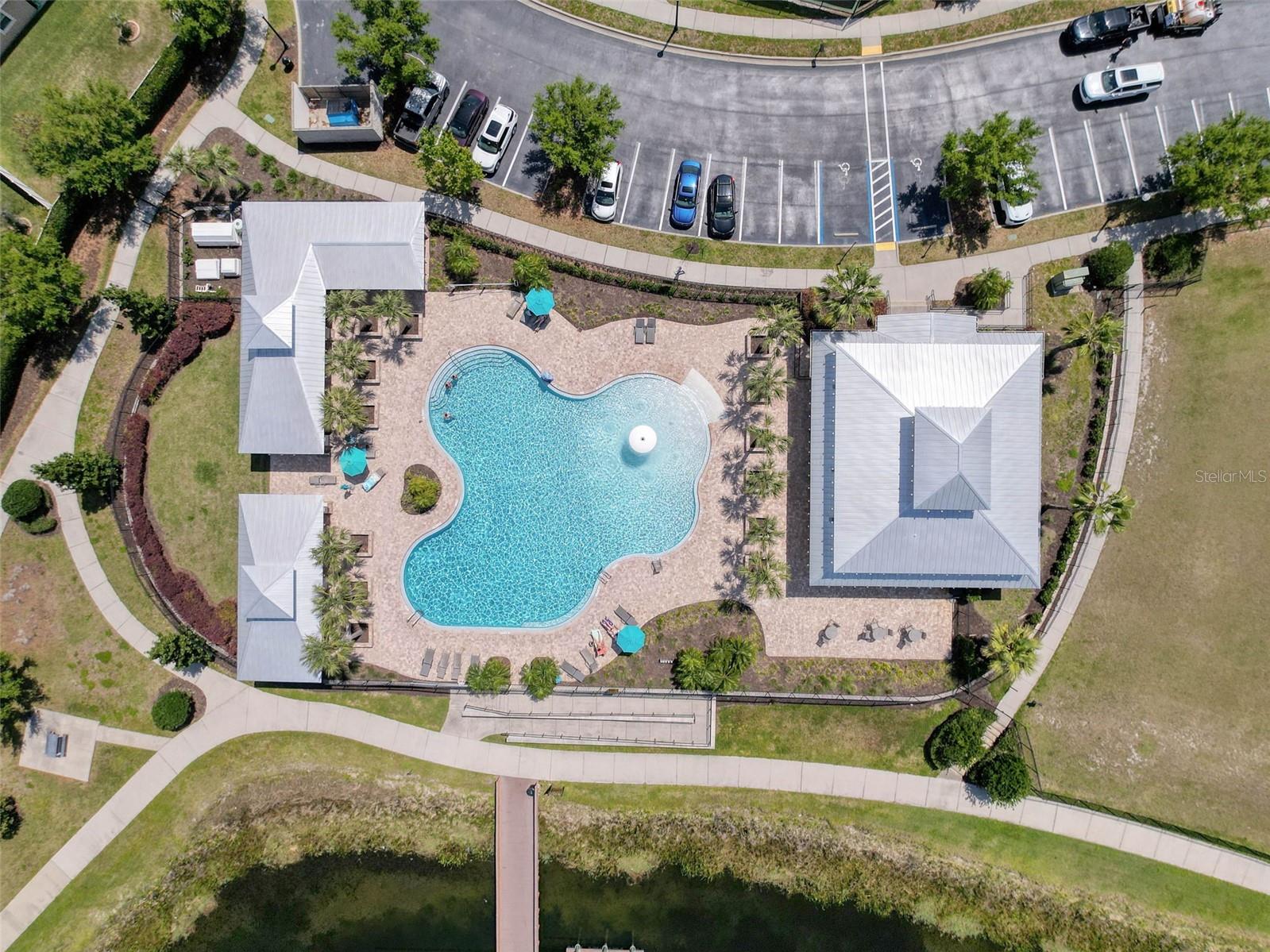 1606 FEATHER GRASS LOOP, LUTZ, FL, 33558