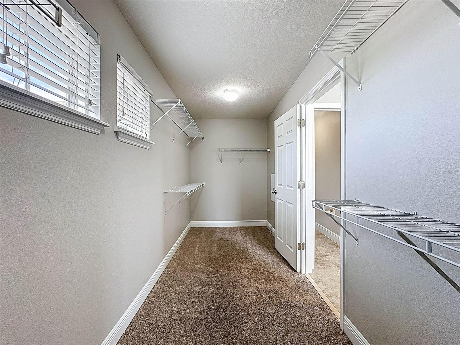 1606 FEATHER GRASS LOOP, LUTZ, FL, 33558