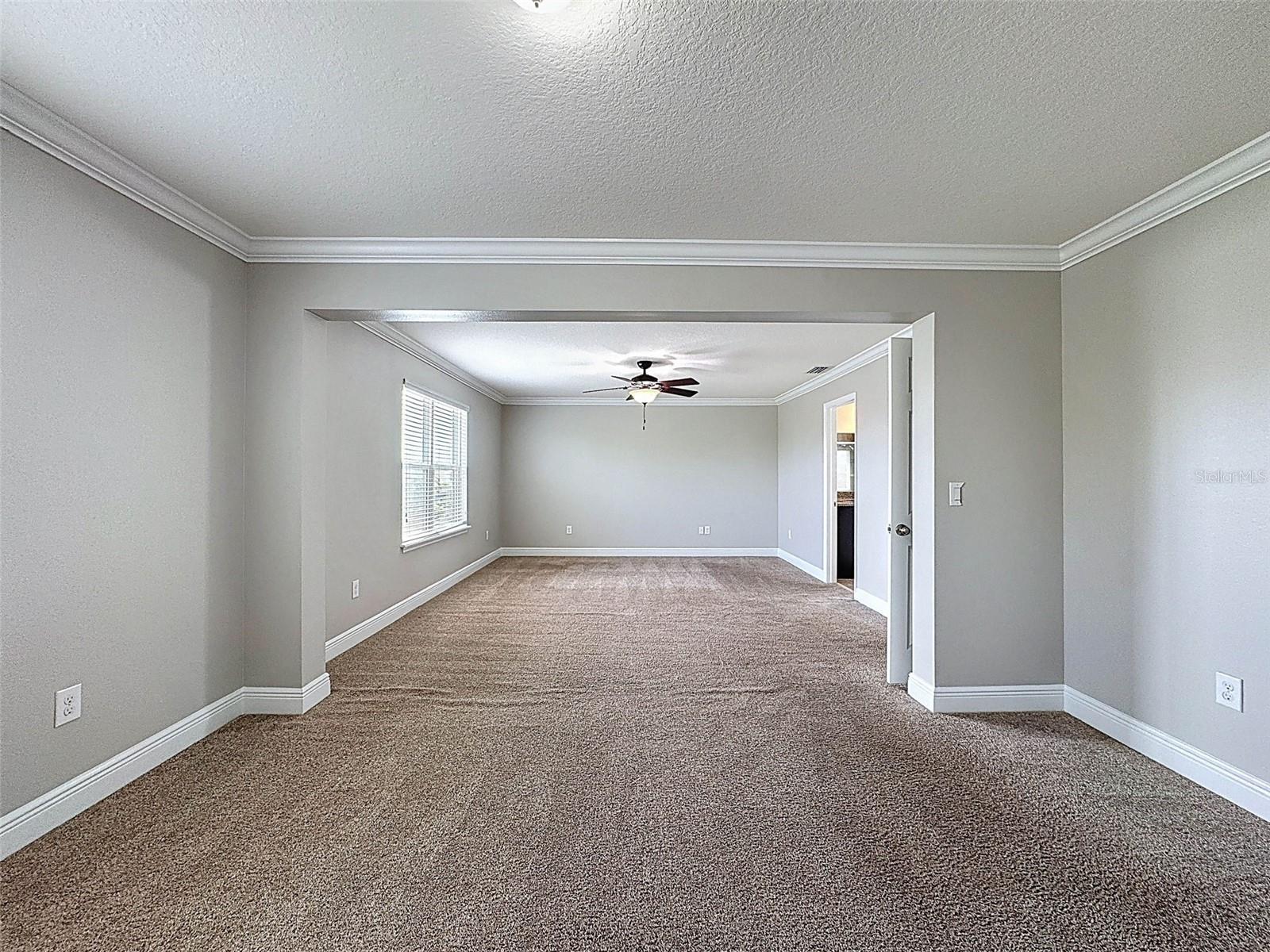 1606 FEATHER GRASS LOOP, LUTZ, FL, 33558