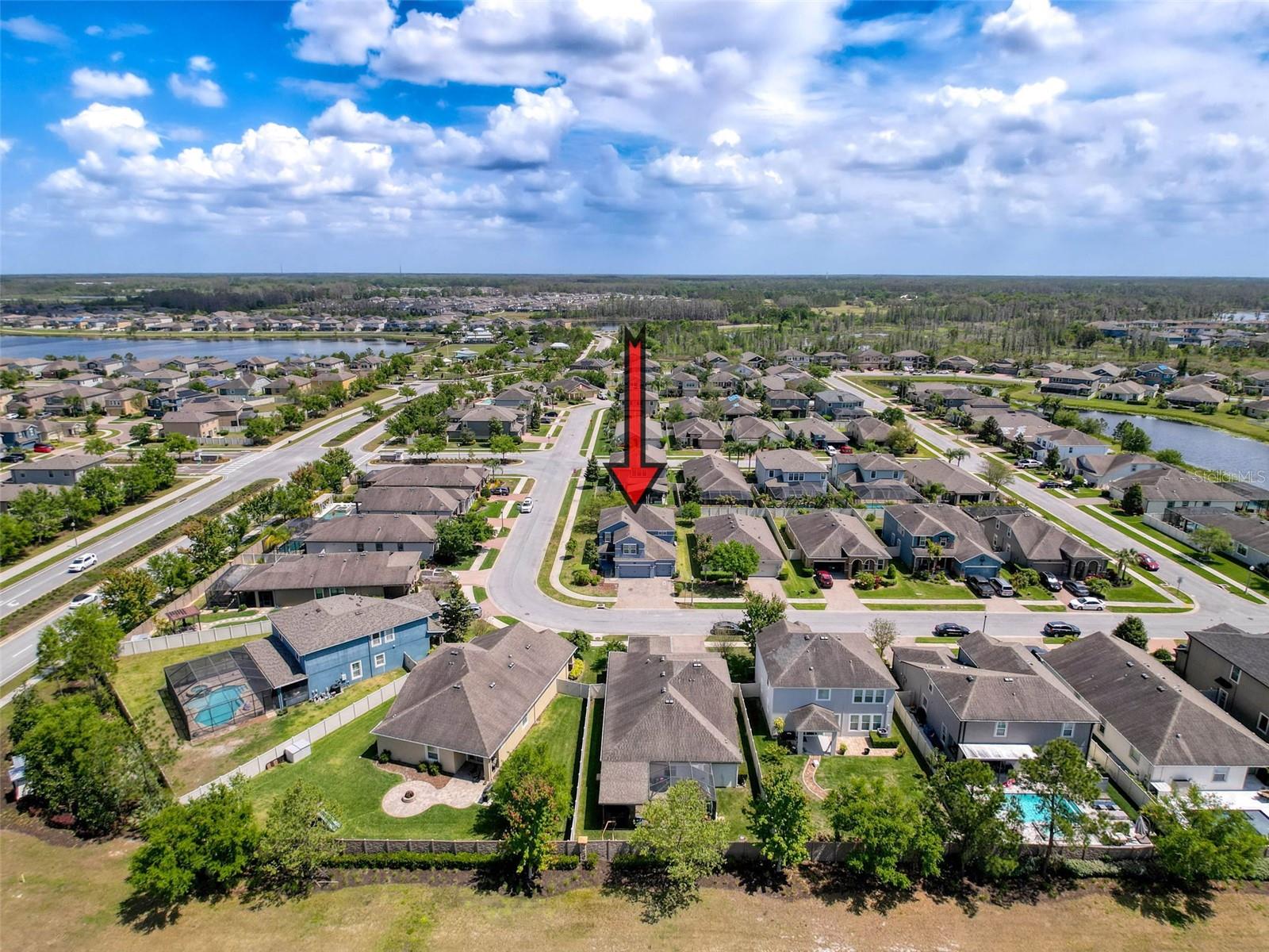 1606 FEATHER GRASS LOOP, LUTZ, FL, 33558