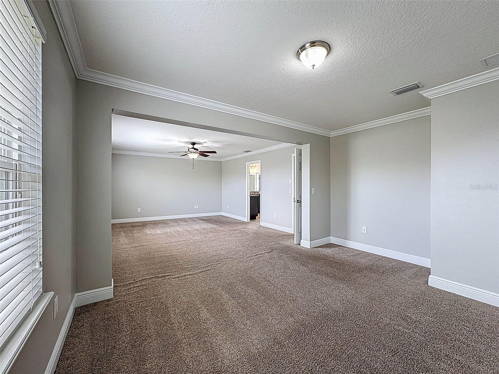 1606 FEATHER GRASS LOOP, LUTZ, FL, 33558