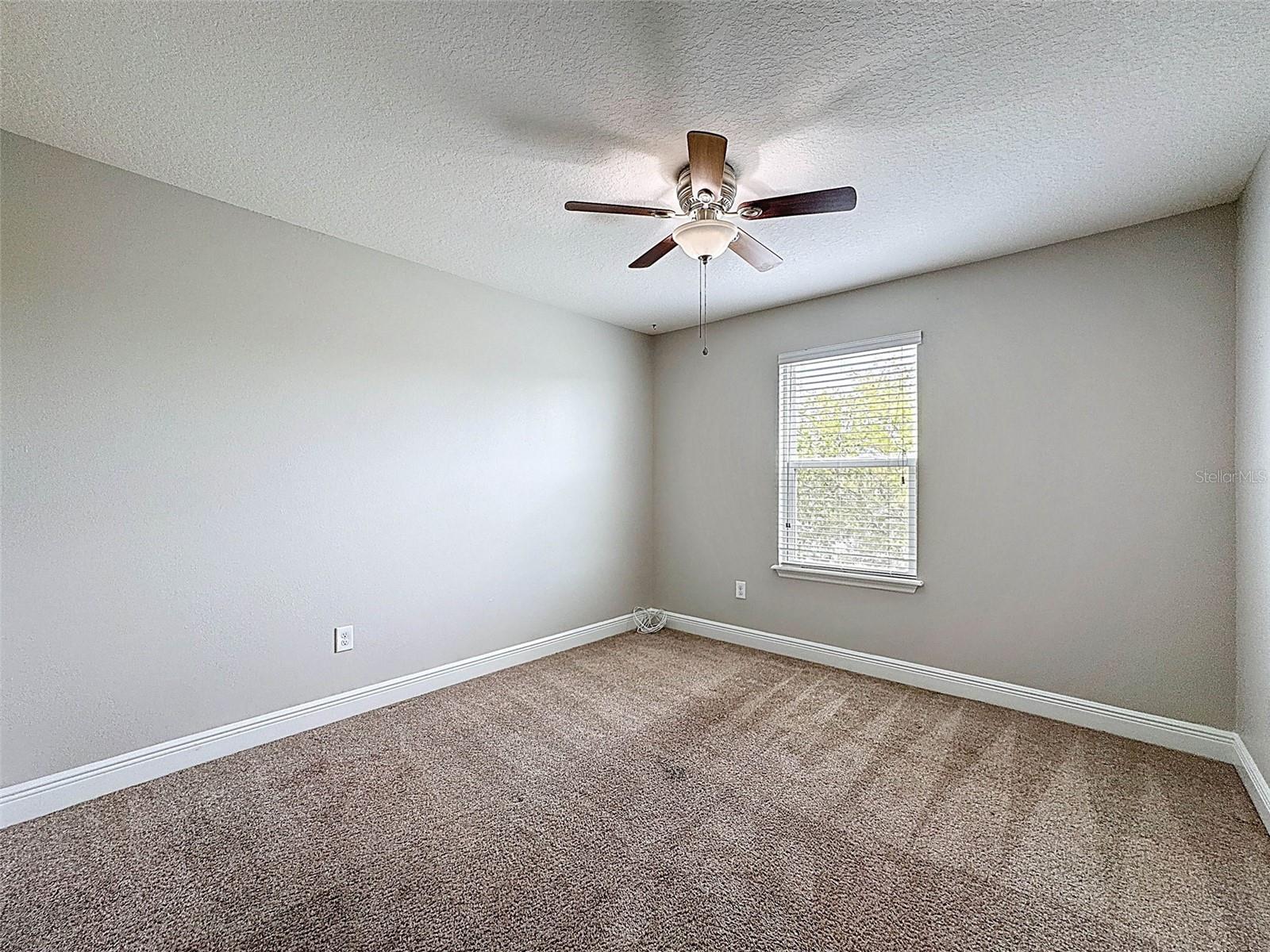 1606 FEATHER GRASS LOOP, LUTZ, FL, 33558