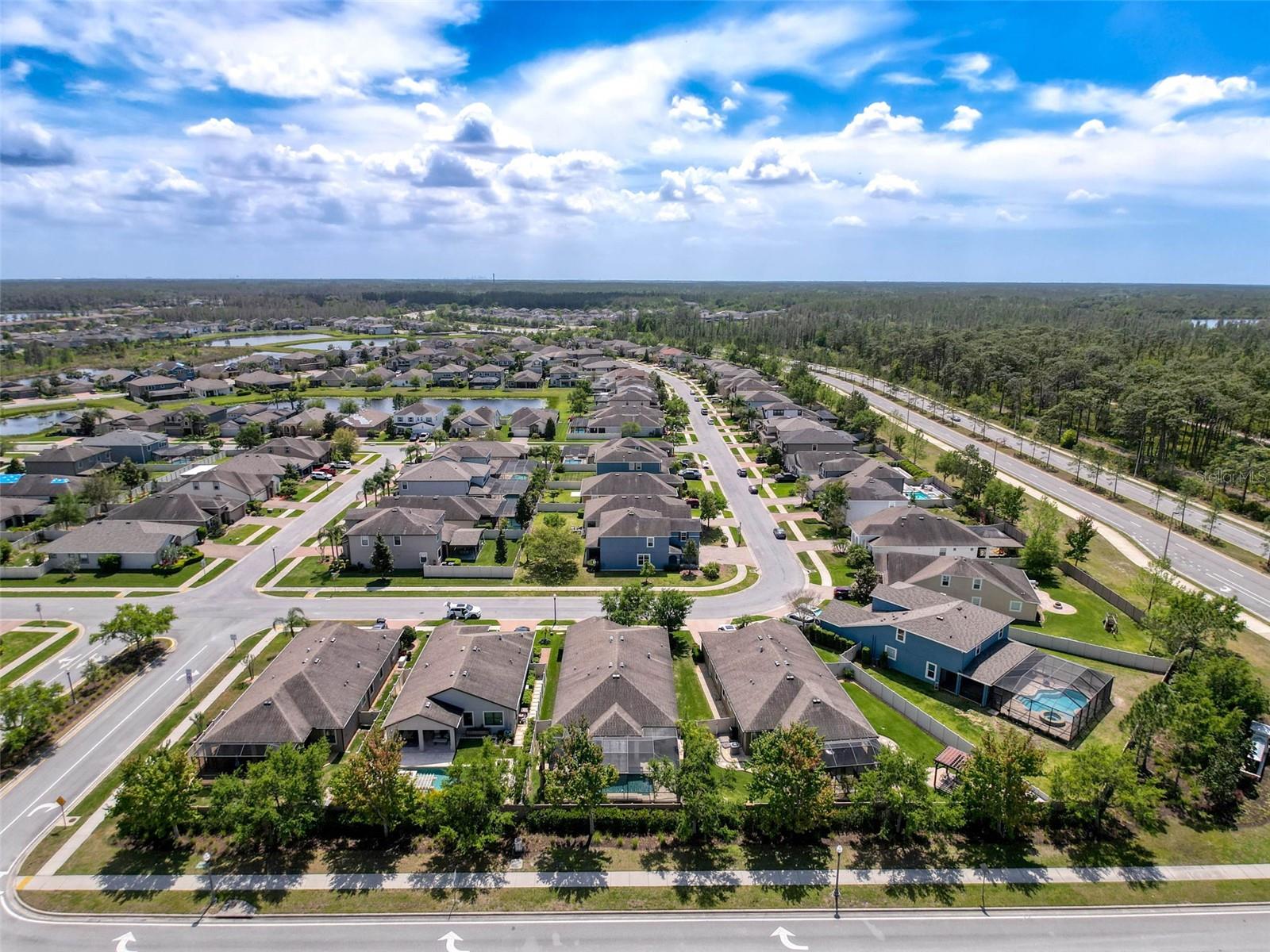 1606 FEATHER GRASS LOOP, LUTZ, FL, 33558