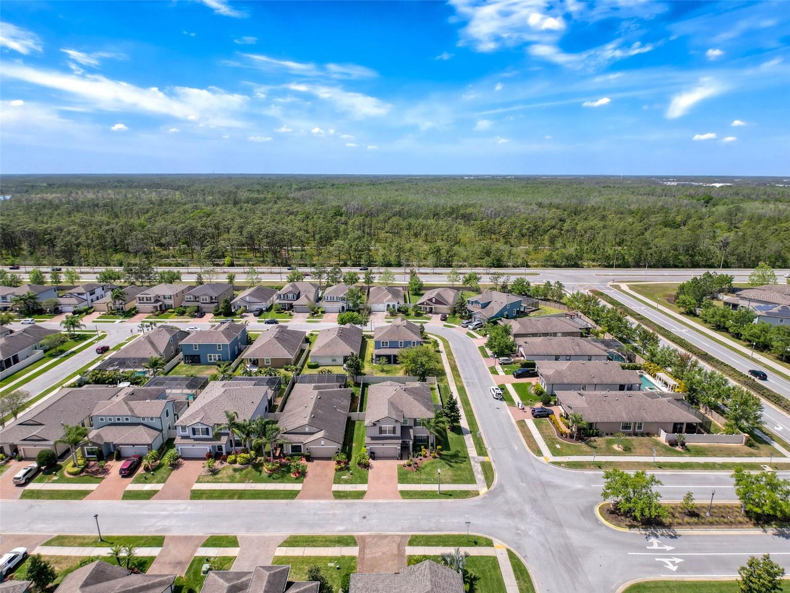 1606 FEATHER GRASS LOOP, LUTZ, FL, 33558