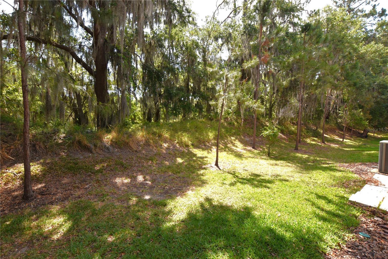 4052 MOUNTAIN CHESTNUT WAY, LAKELAND, FL, 33812