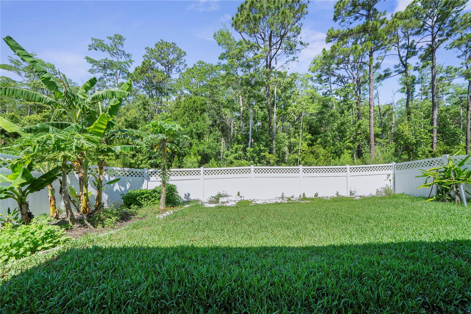 280 CARYOTA CT, NEW SMYRNA BEACH, FL, 32168