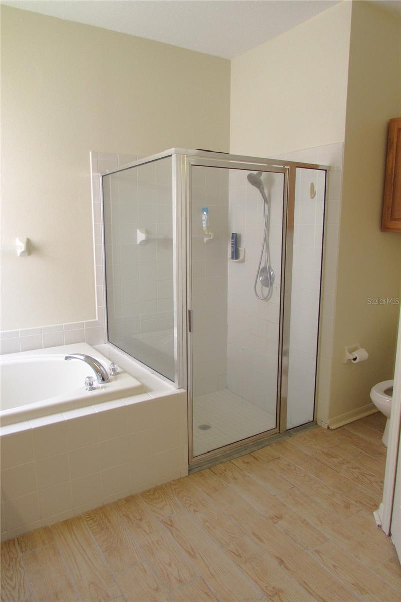 4633 MAPLETREE LOOP, WESLEY CHAPEL, FL, 33544