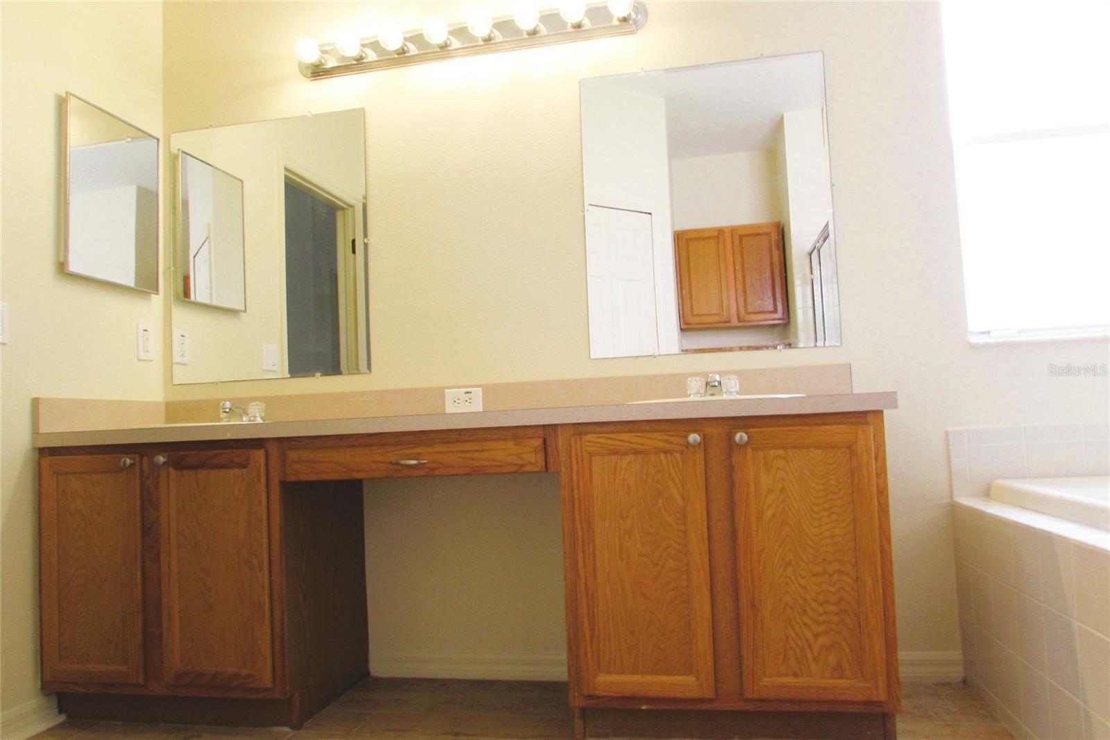 4633 MAPLETREE LOOP, WESLEY CHAPEL, FL, 33544