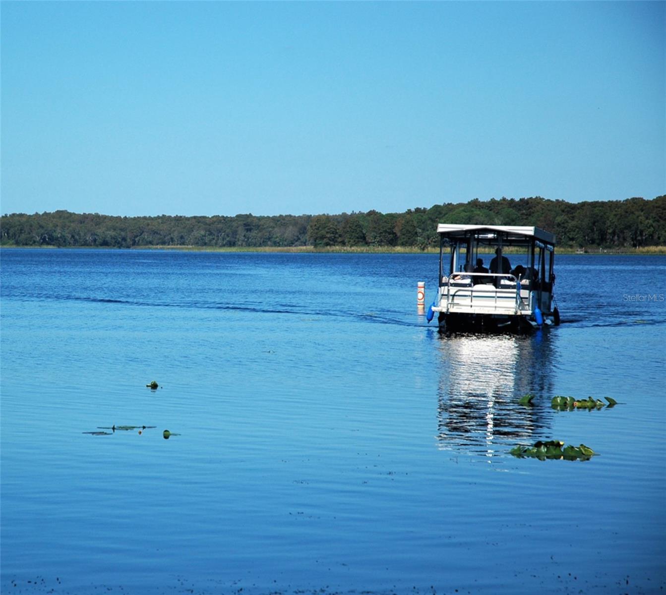 3283 HILARY CIR #2C, PALM HARBOR, FL, 34684