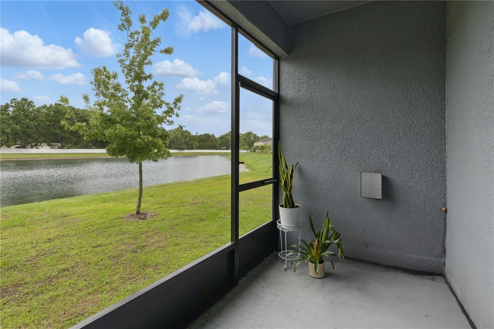 6177 SHINER ST, LAND O LAKES, FL, 34638