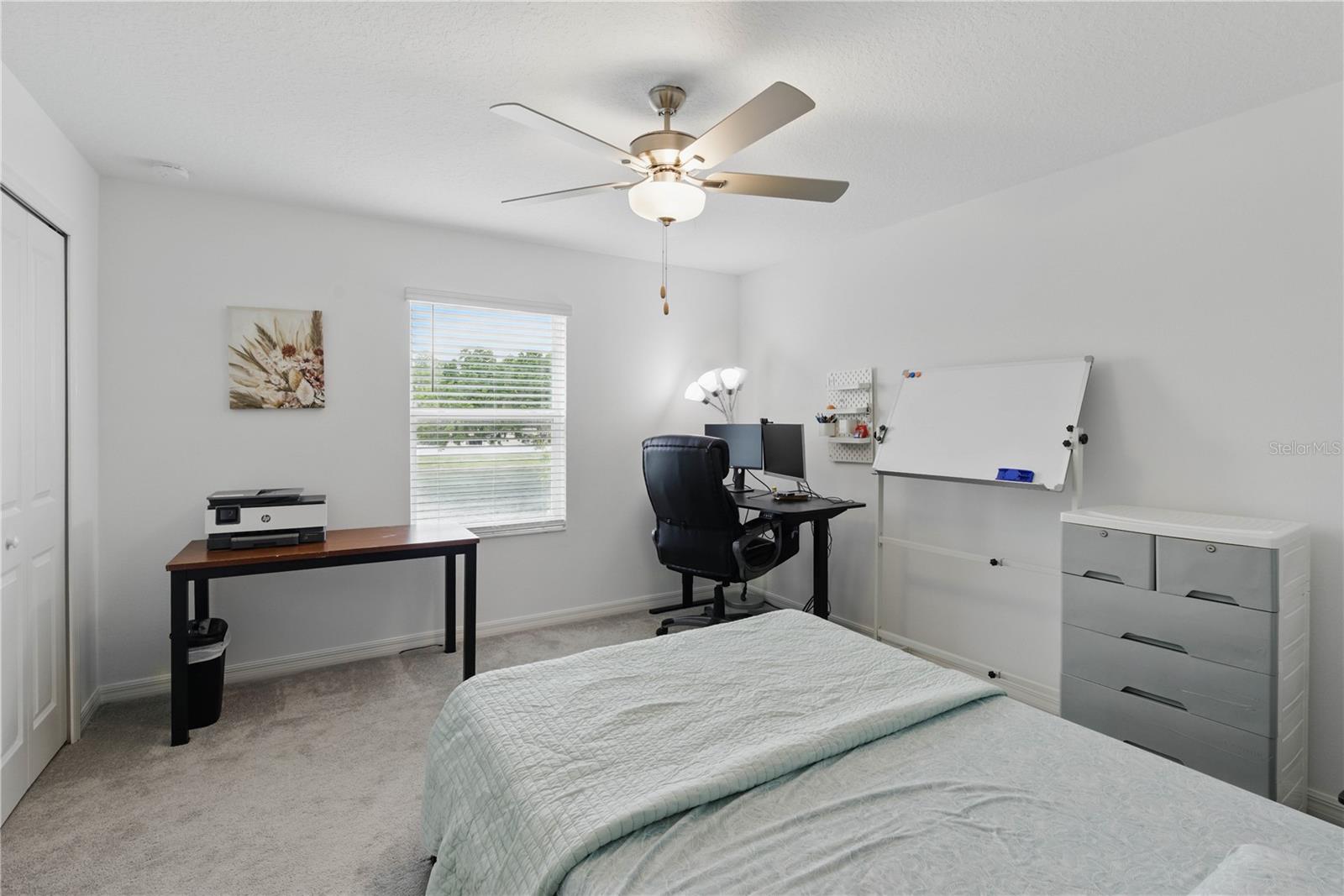 6177 SHINER ST, LAND O LAKES, FL, 34638