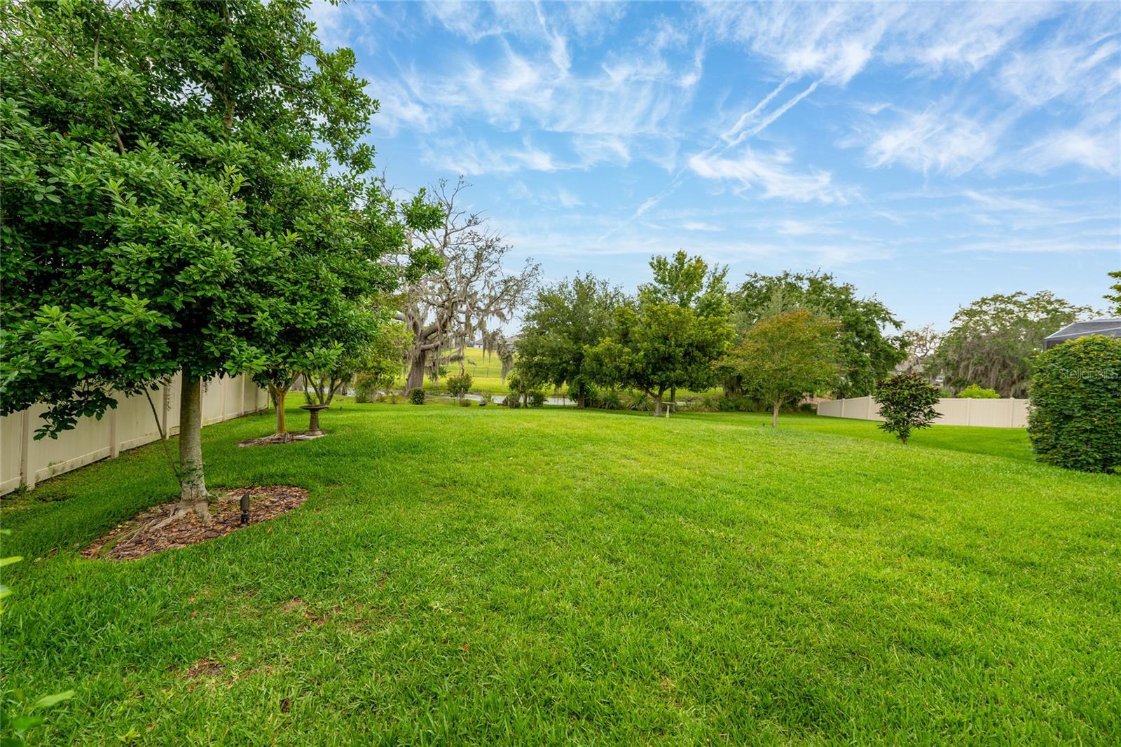 15862 CITRUS GROVE LOOP, WINTER GARDEN, FL, 34787