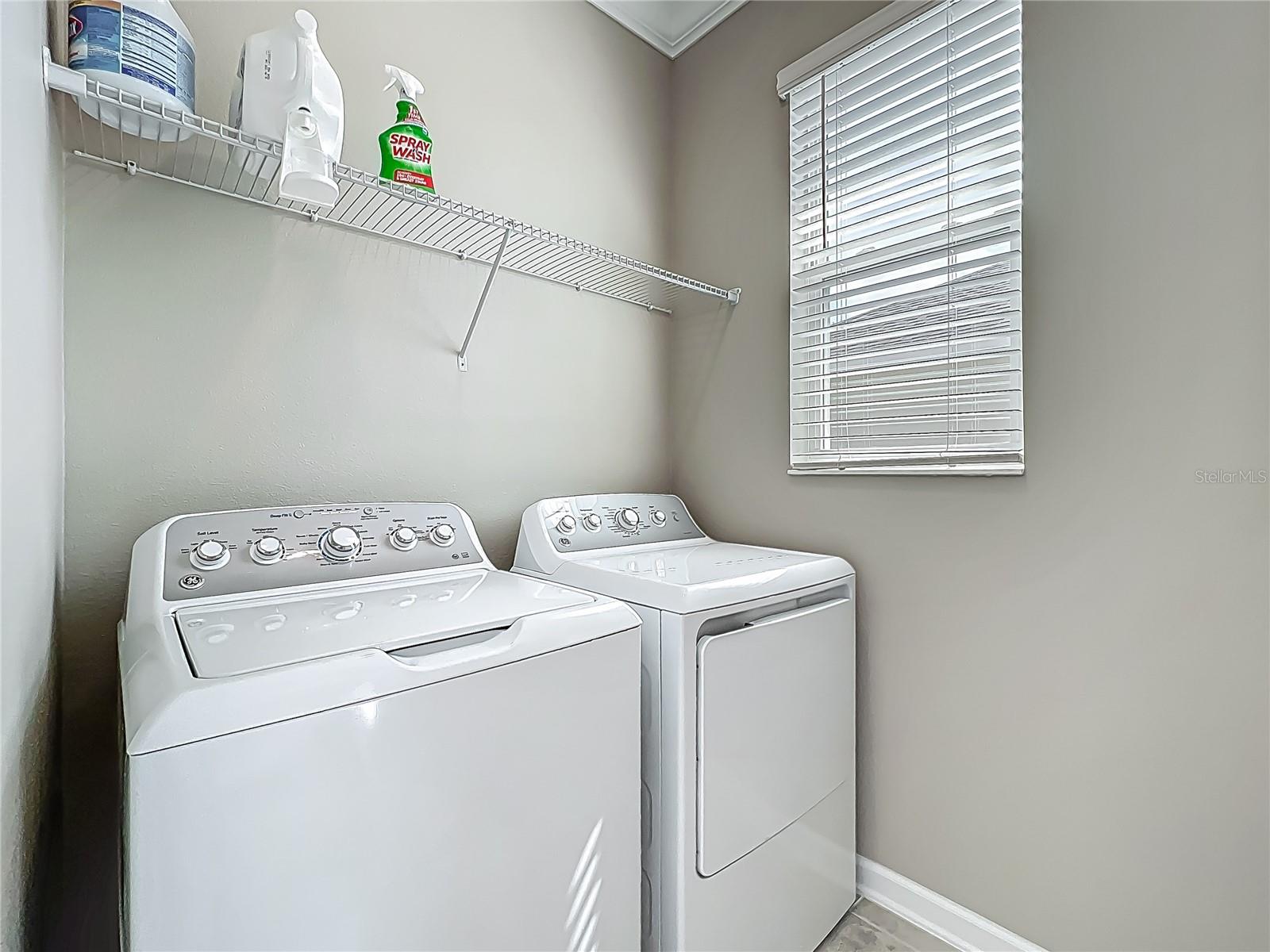 1373 WILLIAMS RD, WINTER GARDEN, FL, 34787